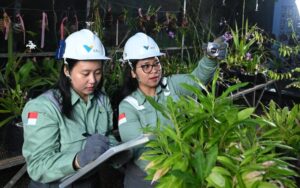 Wujudkan Pendidikan Berkualitas di Luwu Timur, Rektor Unhas:Green Mining PT Vale Jadi Pusat Vokasi Hilirisasi Indonesia Timur