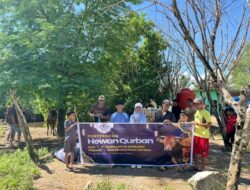Kades Tambea apresiasi bantuan hewan Qurban PT. SLG