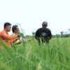 Hadirkan Livelihood Restoration, PT.Vale dorong kemandirian ekonomi Program di Pomalaa