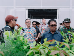 HUT ke-57 PT Vale Indonesia Morowali Jadi Sorotan, Tunjukkan Akselerasi Hilirisasi dan Komitmen Keberlanjutan