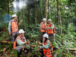 Himalaya Hill area bekas tambang kini jadi hutan lebat