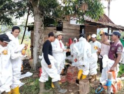 Bersama Pulihkan Towuti Kolaborasi Pemerintah, Masyarakat, dan PT Vale untuk Ketahanan Bersama