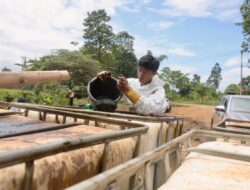 Progres Pemulihan PT Vale,Dari Respon Darurat Menuju Solusi Terstruktur