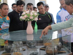 PT Vale Gandeng Pemda Luwu Timur Resmikan Vale Nickel Corner