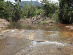 Komitmen untuk Lingkungan dan Masyarakat Towuti, PT Vale Tegaskan Kualitas Air Aman dan Pemulihan Berjalan Terukur
