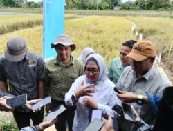 Dukung kebijakan pangan,PT.Vale bersinergi dengan Pemda dan BRIN