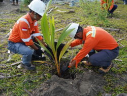 Perkuat Komitmen Hijau,PT Vale Morowali Tanam Pohon Gaungkan Hemat Energi