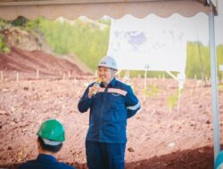 Hijuakan Bukit Tera,Komitmen Antam Lestarikan lingkungan