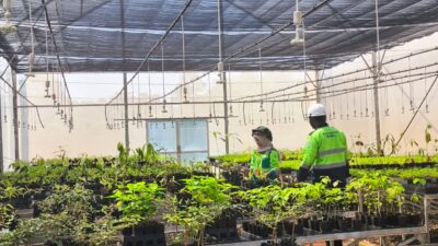 PT Vale IGP Pomalaa Siapkan Satu Juta bibit Dukung Reklamasi Pascatambang