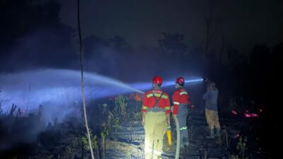 IPIP Tangani Lima Karhutla Sepanjang Agustus 2026, Perkuat Kesiapsiagaan Lintas Sektor 