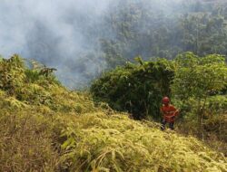 GAKKUM Tegaskan Petani Wajib Patuh Aturan Penggunaan Kawasan Hutan